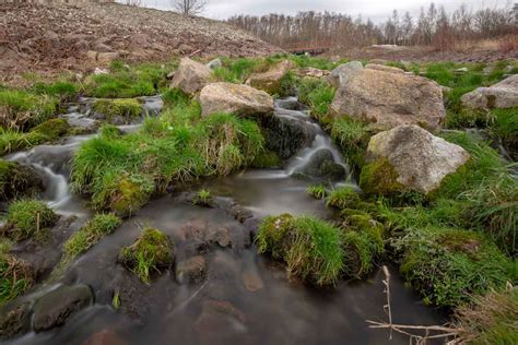 Auf der Suche nach dem Frühling SvenArt eu Fotograf aus dem Geiseltal