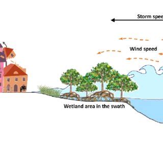 Diagram of the effects of tropical storms on damages/GDP and lives ...