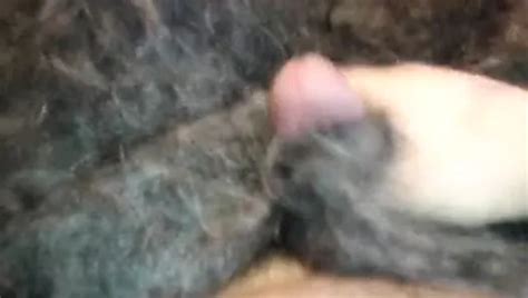 Mohair And Fur Fetish 2 Gay Australian Porn Af XHamster