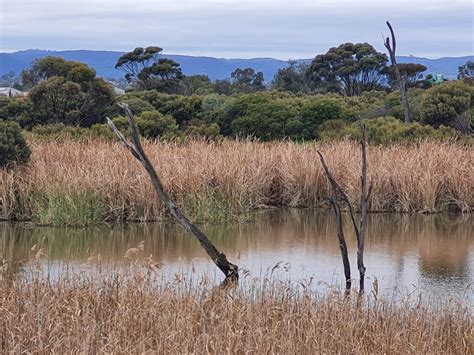 Salisbury Wetlands Nature Trail Underdown