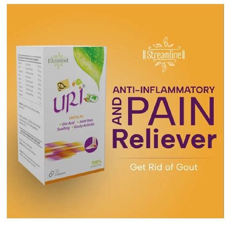 Herbal Pain Reliever Capsules at Rs 315/bottle | Jagraon | ID: 2850621824262