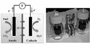 Schematic And Lab Prototype Of Microbial Fuel Cells Figure 1 Of 1