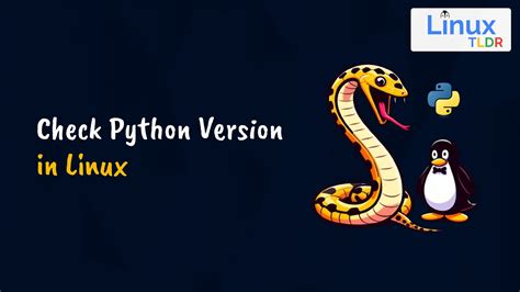 How To Check Python Version In Linux Via 3 Methods