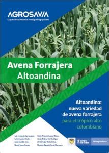 Avena Forrajera Altoandina Nueva Variedad De Avena Forrajera Para El