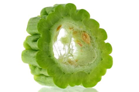 Fresh Chinese Bitter Gourd Stock Image Image Of Freshness 30349079