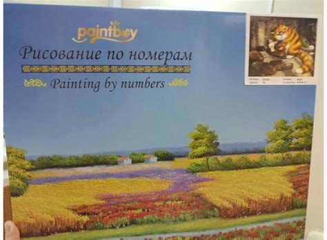 Картина по номерам Paintboy (Premium) GX3221 - «Отличная картина» | отзывы