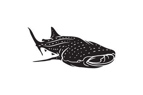 whale shark illustration isolated. Sea fish blue whaleshark 47803923 Vector Art at Vecteezy