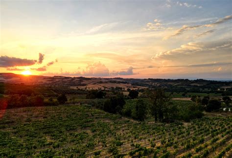 Your 2023 Guide To Tuscany Wine Region Winetourism