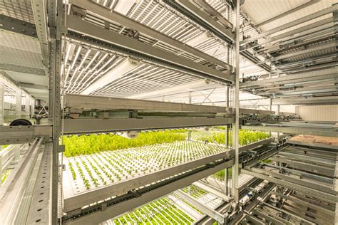 Vertical Farming Für Die Smart Cities Von Morgen Deutsche Bauzeitschrift Die