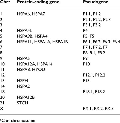 Human chromosomes with hsp70 genes and hsp70- related pseudogenes ... 