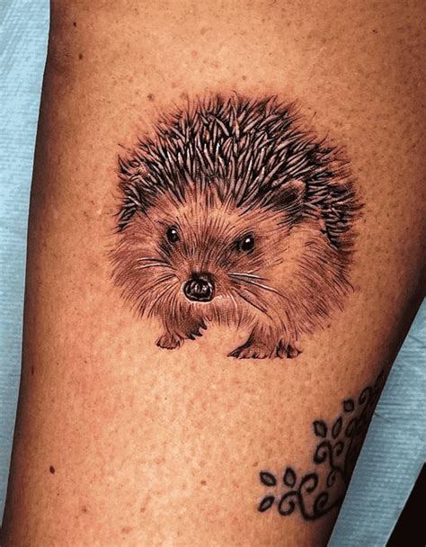 Hedgehog Tattoo Design Ideas Images In 2023 Hedgehog Tattoo Tattoo