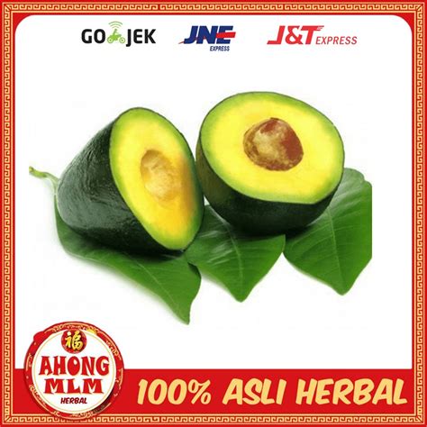 Jual ALPUKAT MENTEGA SUPER 1KG 100 Original Shopee Indonesia