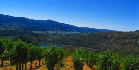 Insiders Guide To Napa Wine Country Wine Region Napa