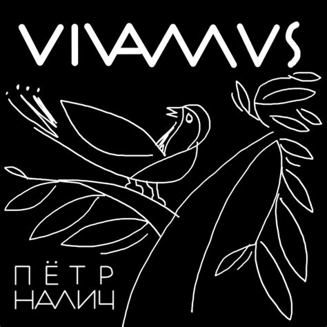 Пётр Налич Peter Nalich Vivamus Lyrics and Tracklist Genius