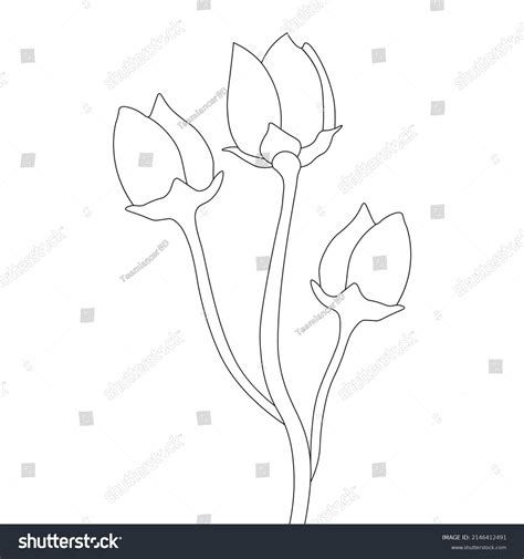 Garden Flower Coloring Page Clipart Doodle Stock Vector (Royalty Free ...