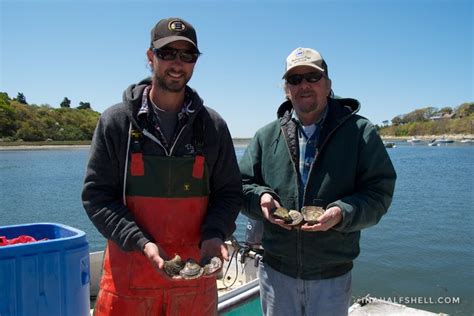 Cape Cod Oyster Tour Continues At Chatham Shellfish — In A Half Shell