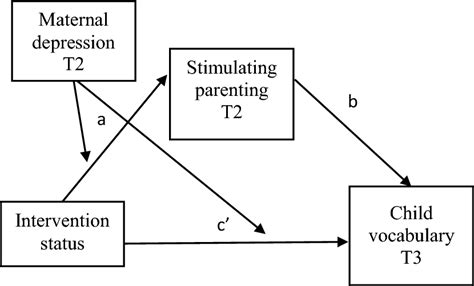 Hypothesized Moderated Mediation Model Download Scientific Diagram