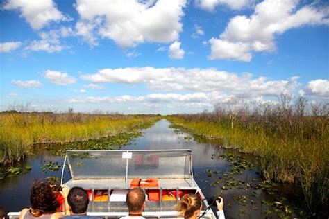 Airboat ride on the Everglades national park | Basic Planet