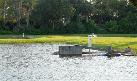 Fish Hatchery Equipment stock image. Image of industry - 25631953