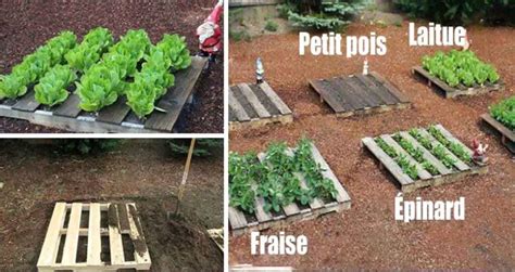 23 Astuces de Maraîcher Pour Réussir Son Premier Potager Cuisine Momix