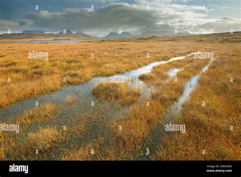 Forsinard Hi Res Stock Photography And Images Alamy