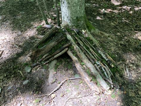 Secrets of the Sanctuary | Audubon Vermont