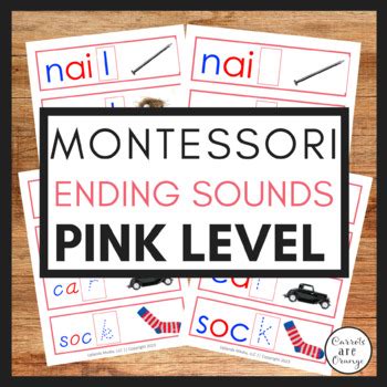 Pink Level Montessori Language Ending Sound Cards Tpt