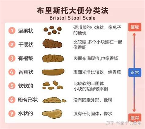 大便的形状是球状，说明了什么？ 知乎