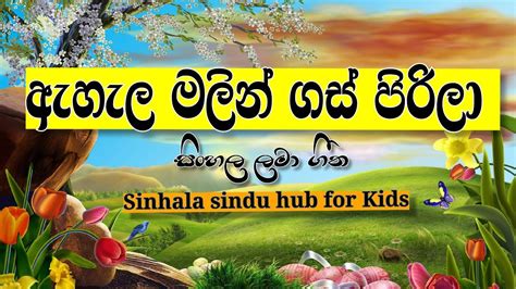 ඇහැල මලින් ගස් පිරිලා බලන්න හරි ලස්සනයි Ehela Malin Gas Pirila