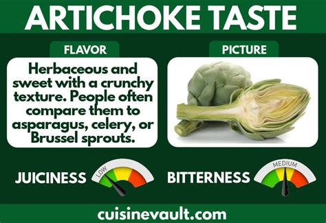 What Do Artichokes Taste Like How To Prep