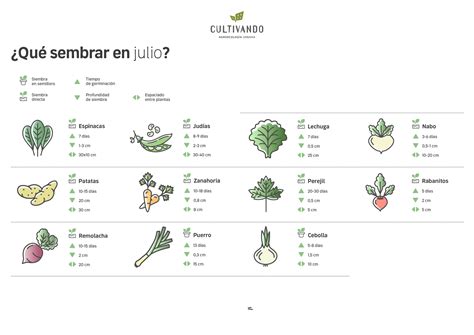 Qué sembrar en julio Cultivando Tienda Espacio Agroecológico