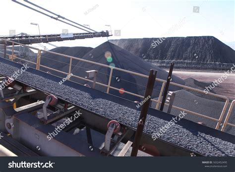 shutterstock