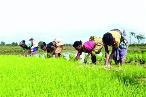 Why It Is Critical To Transforming Indian Agriculture Opinion News