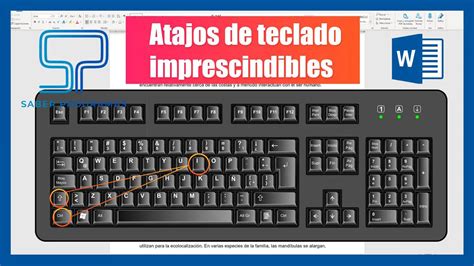 Atajos De Teclado En Word Imprescindibles Saber Programas