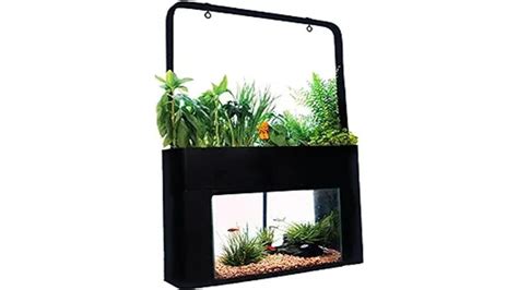 8 Best Indoor Aquaponics Fish Tank Systems for Sustainable Home Gardening