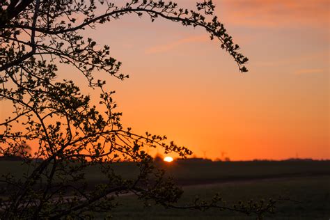 Wallpaper Sunlight Landscape Sunset Nature Sky Branch Sunrise