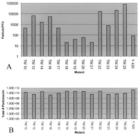 Relative Infectivity Of Sindbis Virus Tm Mutants A Particle To Pfu Download Scientific