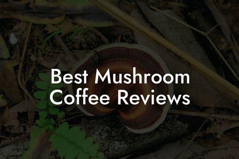 Best Mushroom Coffee Reviews - Mr Mushroom