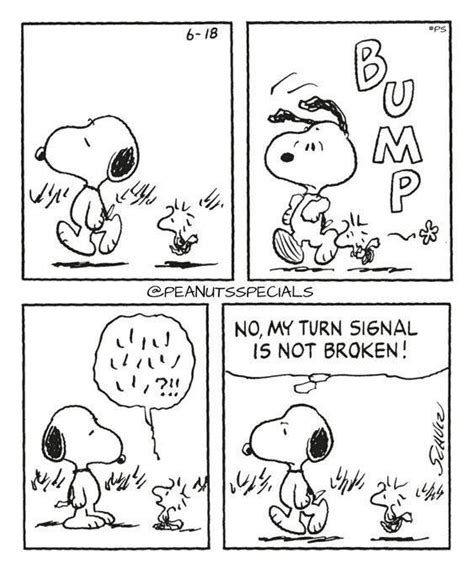 Pin by Ruthann McCoy on Snoopy and Woodstock | Snoopy comics, Snoopy ...