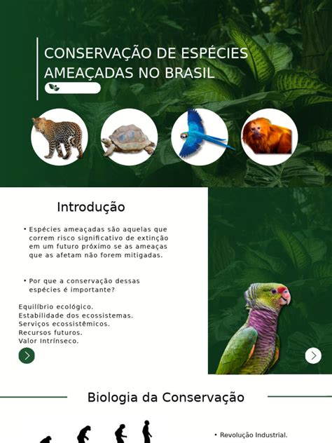 Esses Organismos Devem Ser Preservados Porque - Conservação de Espécies Ameaçadas no Brasil | PDF | Biologia de ...