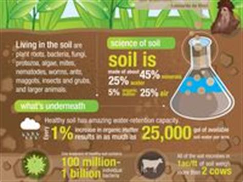 10 Soil conservation poster contest ideas | soil conservation, soil ...