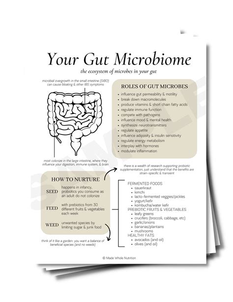 Most Popular Handout Bundle — Functional Health Research Resources — Made Whole Nutrition