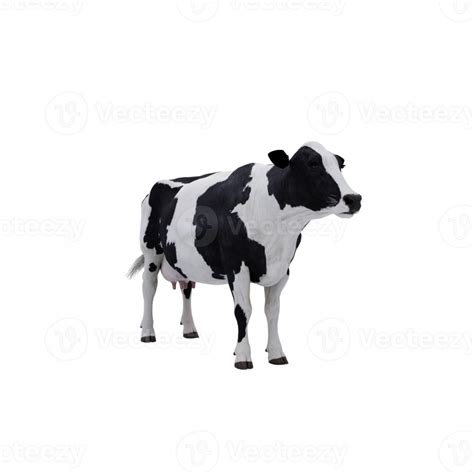 3d Cow Isolated 18758452 Png