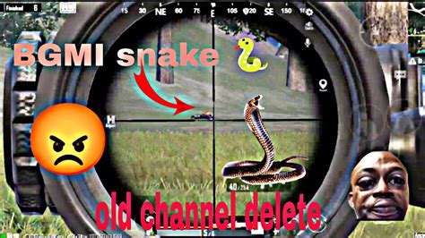 Kill A Snake In Bgmi 🐍😂 Bgmi Bgmilive Conqueror Gamingvideos Youtube