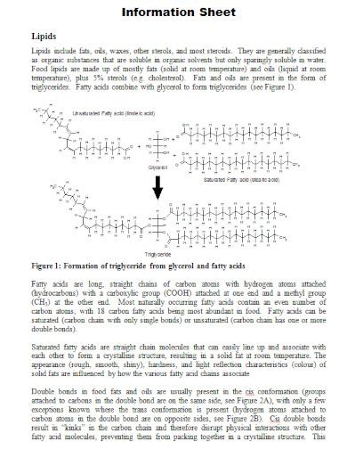 Lipids 100 Examples Format Pdf Examples