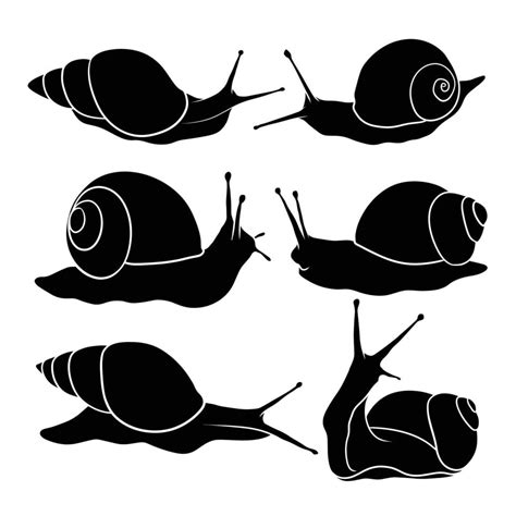 Hand Drawn Silhouette Of Snail 7178866 Vector Art At Vecteezy