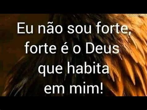 VC GOSTA VC PRATICA SEXO ANAL DEUS YouTube