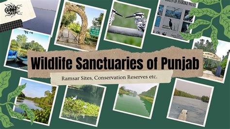 complete list  beautiful forest areas  punjab wildlife sanctuaries