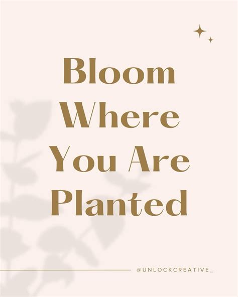 Unlock Creative | Atlanta GA