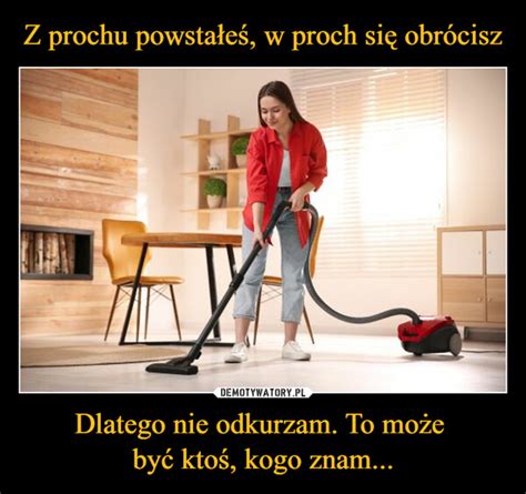 Z prochu powstałeś w proch się obrócisz Dlatego nie odkurzam To może